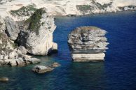 Bonifacio