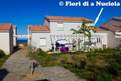 Position villa Fiori di a Nuciola